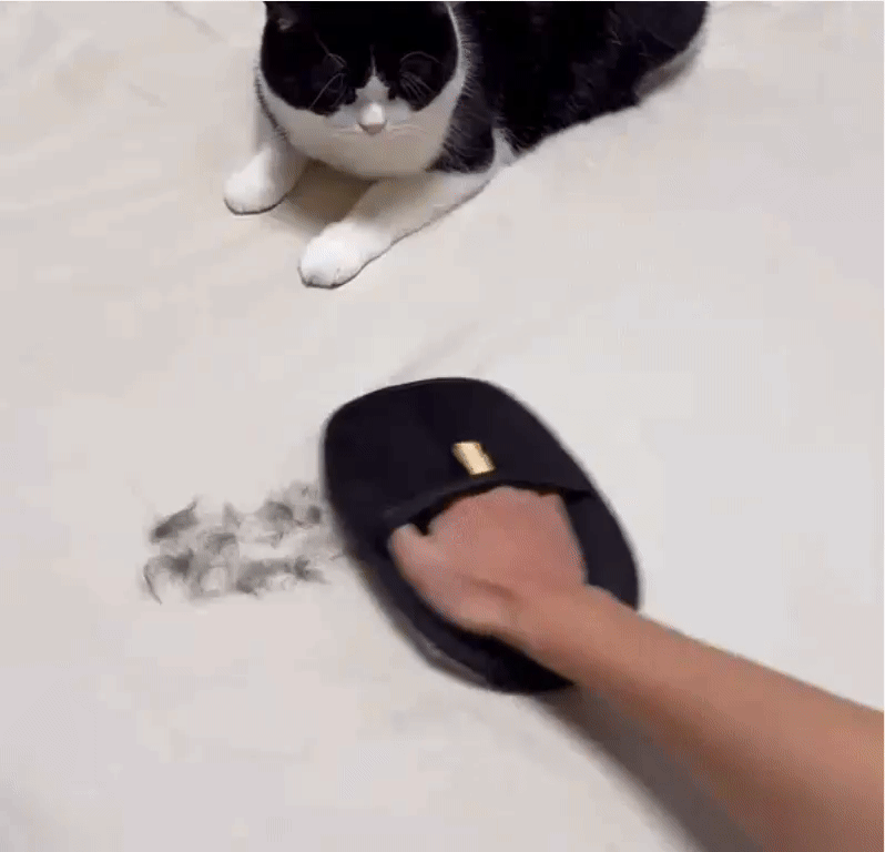 Pet Hair Remover Glove